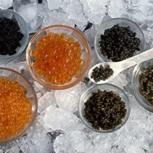 Assorted caviar C014 / 1520