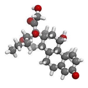 Budesonide steroid drug F007 / 0118