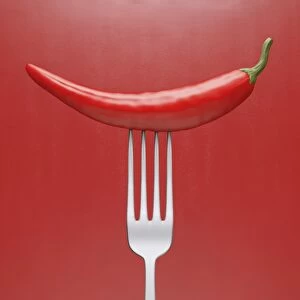 Chilli pepper, artwork F006 / 8835