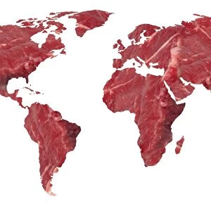 Global meat eating, conceptual artwork