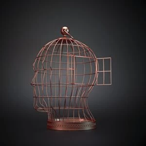 Head-shaped cage, artwork F006 / 3826