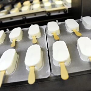 Ice cream on a production line C017 / 8276