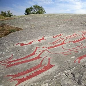 Nordic petroglyph