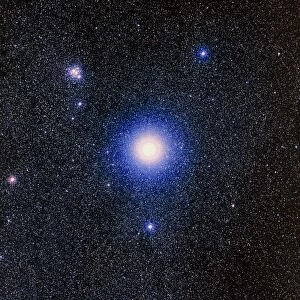 Optical image of the star Mimosa, or Beta Crucis