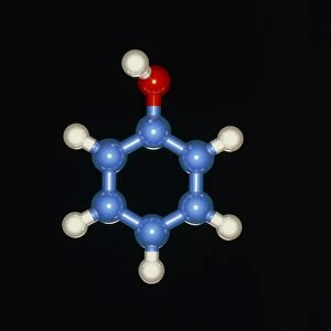 Phenol (carbolic acid) molecule