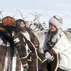 Reindeer herders, Russia C013 / 5386