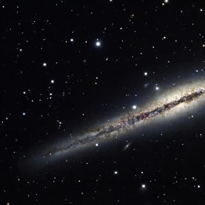Spiral galaxy NGC 891, optical image C017 / 3733