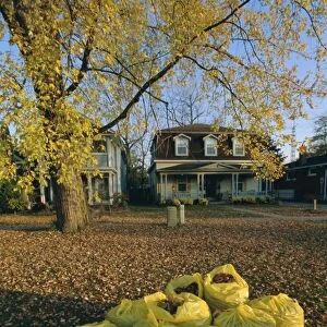 Bags of fallen autumn leaves, Toronto, Ontario, Canada, North America