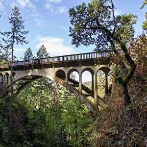 Bridge along Columbia River Highway, Oregon, United States of America, North America