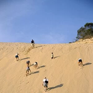 Climbing sand cliff, Great Sandy National Park, Fraser Island, UNESCO World Heritage Site