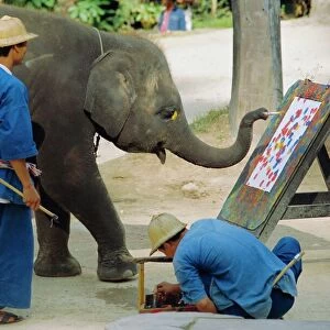 Elephant painting with his trunk