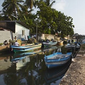 Fishing boats along Hamilton Canal, an old Dutch canal, Negombo, Western Province, Sri Lanka, Asia