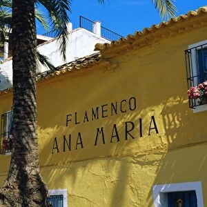 Flamenco bar
