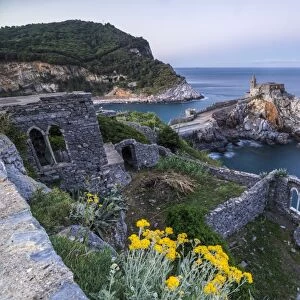 Flowers and blue sea frame the old castle and church at dawn, Portovenere, UNESCO