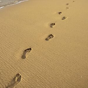 Footprints in the sand on a beach