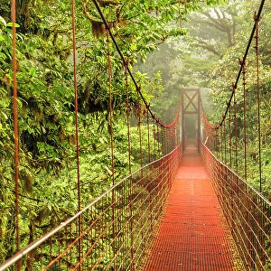 Hanging bridge in a cloud forest, Monteverde, Reserva Biologica Bosque Nuboso Monteverde, Puntarenas, Costa Rica, Latin America