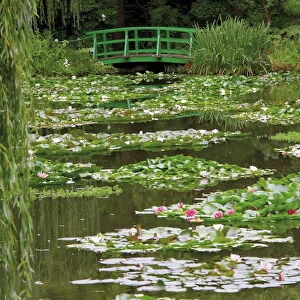Japanese bridge and lily pond in the garden of the Impressionist painter Claude Monet