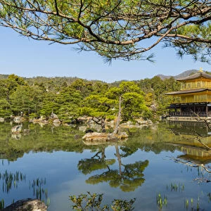Kinkaku-ji temple, UNESCO World Heritage Site, Kyoto, Japan, Asia