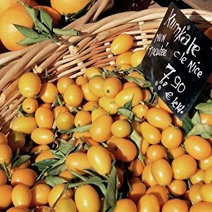 Kumquats for sale on the market in Cours Saleya, Nice, Alpes Maritimes