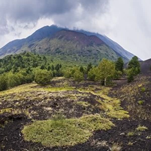 Mount Etna Volcano, old lava flow from an eruption, UNESCO World Heritage Site, Sicily, Italy, Europe