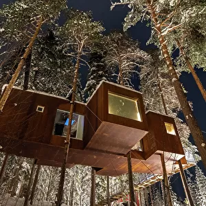 Night view of a suspended wooden cottage in the forest covered with snow, Harads, Lapland, Sweden, Scandinavia, Europe