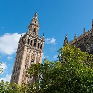 Sevilla Cathedral and Giralda, UNESCO World Heritage Site, Seville, Andalucia, Spain