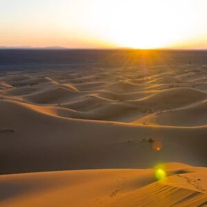 Sunset over sand dunes of Merzouga, Morocco, North Africa, Africa