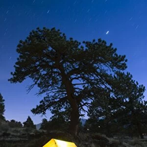 Tent illuminated under the night sky, Rocky Mountain National Park, Colorado