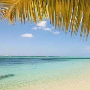 Turquoise sea and white palm fringed beach, Le Morne, Black River, Mauritius, Indian Ocean