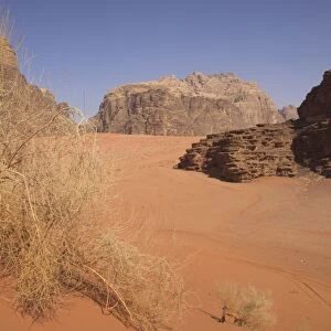 Typical desert with red sand