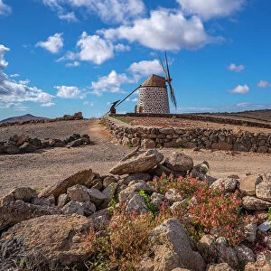 View of typical windmill and landscape on a sunny day, La Oliva, Fuerteventura, Canary Islands, Spain, Atlantic, Europe