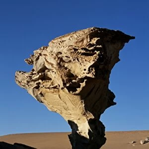 Arbol de Piedra or Stone Tree is a massive wind-eroded boulder