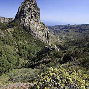 Canary Islands, La Gomera, Garajonay National Park (UNESCO Site), Los Roques