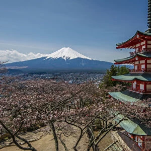 Chureito pagoda with blooming cherry trees and Mount Fuji in the background, Fujiyoshida