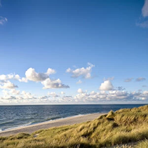Dunes, List, Sylt Island, North Frisian Islands, Schleswig Holstein, Germany