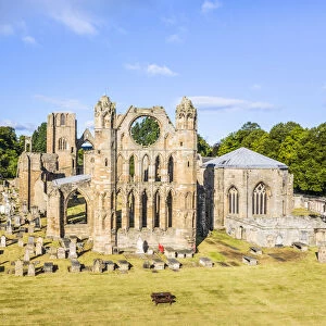 Elevated view of Elgin Cathedral, Elgin, Moray, Scotland, UK