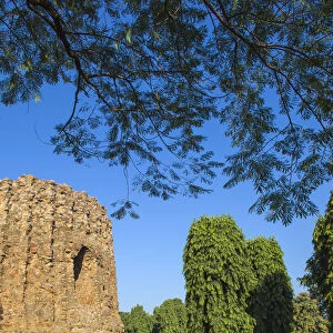 India, Delhi, Qutub Minar, Atai Minor, an incomplete tower originally intended to