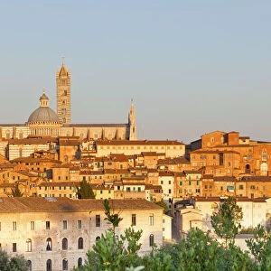 Italy, Tuscany, Siena district, Siena. Santa Maria Assunta Cathedral