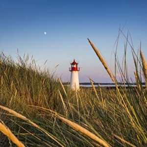 Lighthouse List West, Sylt Island, Northern Frisia, Schleswig-Holstein, Germany