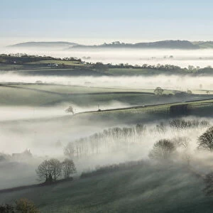 Morning mist around Lewesdon Hill, Marshwood Vale, Dorset, England, UK