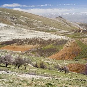 Niha, Bekaa valley, Lebanon
