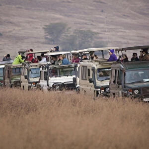 Safari tourists watching game on the Serengeti in Tanzania