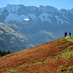 Switzerland, Berne, Oberland, Murren, Bernese Alps, Hiker