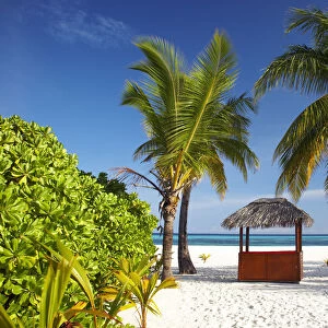 Thatched Beach Bar & Palm Trees, Kuredu, Maldives