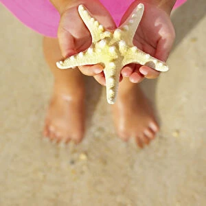 Trinidad and Tobago, Tobago Island, Pigeon Point, Child holding starfish over sand (MR)