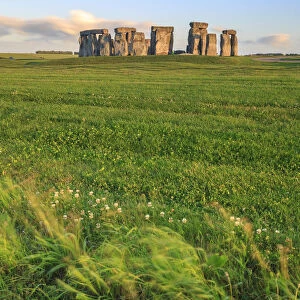 UK, England, Wiltshire Stonehenge Stonehenge stone circle