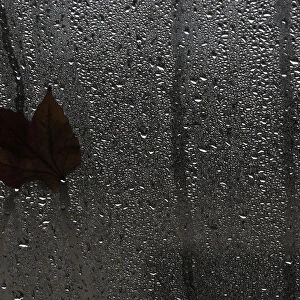 A leaf is pictured on a wet glass wall on a rainy day in Berlin