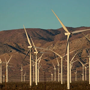 A wind farm is shown in Movave, California