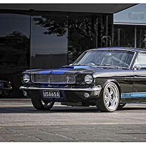 1965 Ford Mustang Fastback - Spicehecker 501 Base Black with Rally Blue