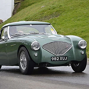 Austin Healey 100M, 1955, Green, metallic